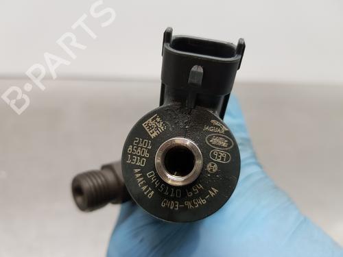 Injector LAND ROVER RANGE ROVER EVOQUE (L538) | BP29121620M100