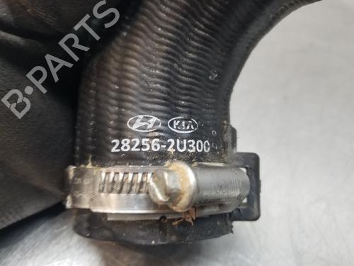 Pipe HYUNDAI TUCSON (NX4E, NX4A)  | BP27718729M125 