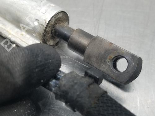 Tailgate lift support FORD FOCUS II Convertible  | BP19709535C138 