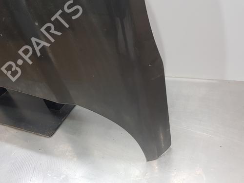 Hood LAND ROVER RANGE ROVER EVOQUE (L538)  | BP29121525C1 