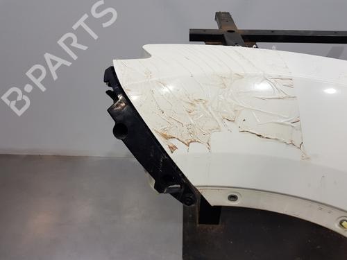 Left front fenders NISSAN JUKE (F15)  | BP29940556C41