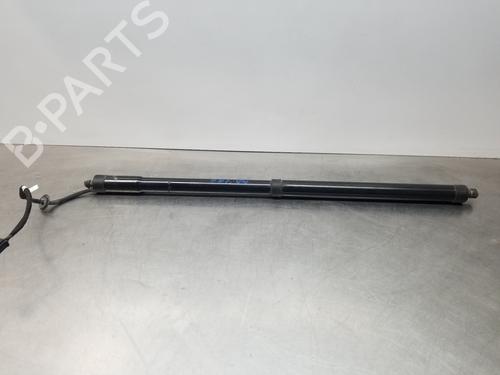 Used Tailgate lift support FORD GRAND C-MAX (DXA/CB7, DXA/CEU) [2010-2019]  25439687
