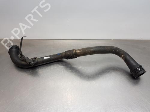 Used Pipe RENAULT SCÉNIC II (JM0/1_) [2003-2010]  30747866