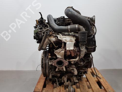 Engine OPEL MOVANO B Van (X62)  | BP29356491M1 