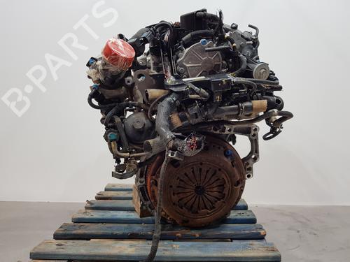 Engine PEUGEOT RIFTER  | BP27524493M1 