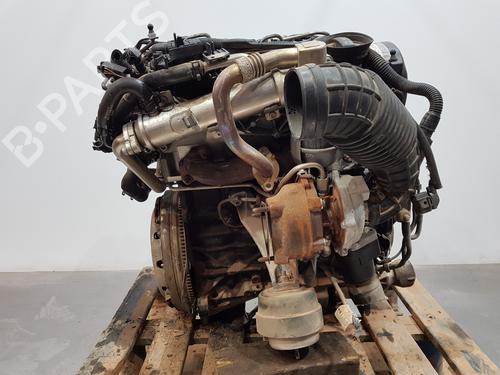 Engine SEAT EXEO (3R2)  | BP28949127M1 