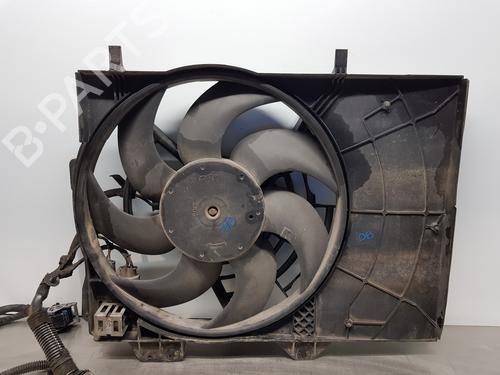Radiator fan PEUGEOT 207 (WA_, WC_)  | BP29131105M35 