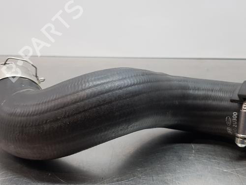 Used Pipe HYUNDAI TUCSON (NX4E, NX4A) 1.6 CRDi Hybrid 48V (136 hp) 20848069