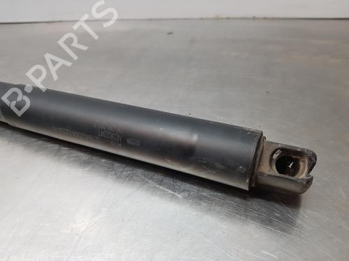 Tailgate lift support MERCEDES-BENZ M-CLASS (W166)  | BP29460436C138 
