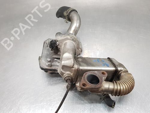 Egr RENAULT GRAND SCÉNIC III (JZ0/1_) 1.6 dCi (JZ00, JZ12) | BP16170728M69 