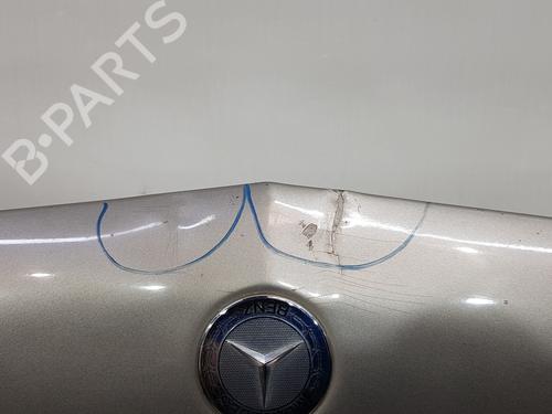 Hood MERCEDES-BENZ R-CLASS (W251, V251) R 320 CDI 4-matic (251.022, 251.122) | BP18157274C1 