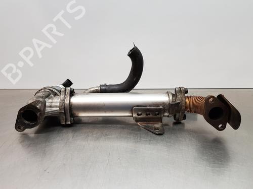 Egr KIA CARENS III MPV (UN) | BP30880013M69