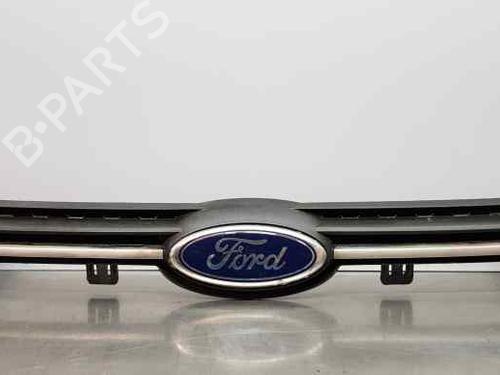 Used Grille FORD ECOSPORT [2011-2022]  12989393