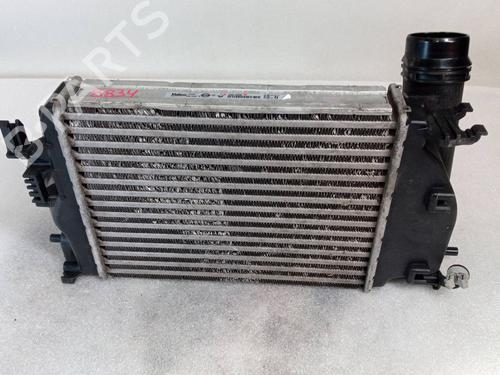 Intercooler RENAULT MEGANE IV Hatchback (B9A/M/N_)  | BP25868374M30 
