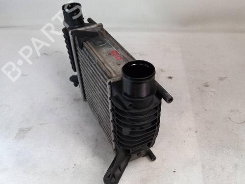 Intercooler RENAULT CLIO III (BR0/1, CR0/1) 1.5 dCi (BR17, CR17) | BP24642480M30