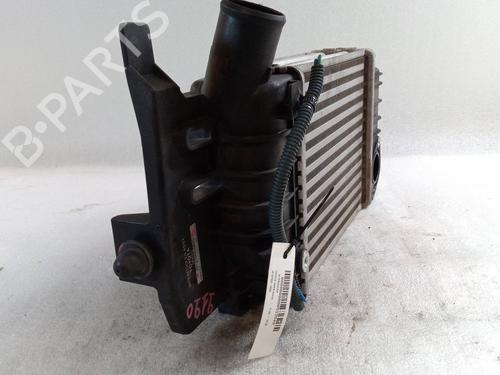 Intercooler TOYOTA YARIS (_P9_) 1.4 D-4D (NLP90_, NLP90R) | BP28141663M30 