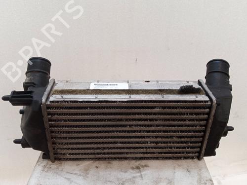 Water radiator FORD FIESTA VI (CB1, CCN)  | BP24293070M31