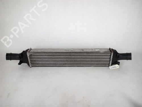 Intercooler AUDI Q5 (8RB) 2.0 TDI quattro | BP10933296M30 