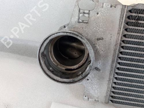 Intercooler VW TRANSPORTER T5 Bus (7HB, 7HJ, 7EB, 7EJ)  | BP29536552M30 
