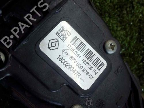 Pedal RENAULT CLIO III (BR0/1, CR0/1) 1.5 dCi | BP9124381I4 