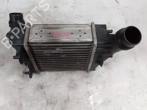 Heater matrix RENAULT TWINGO II (CN0_) 1.5 dCi 75 | BP16982515M63 