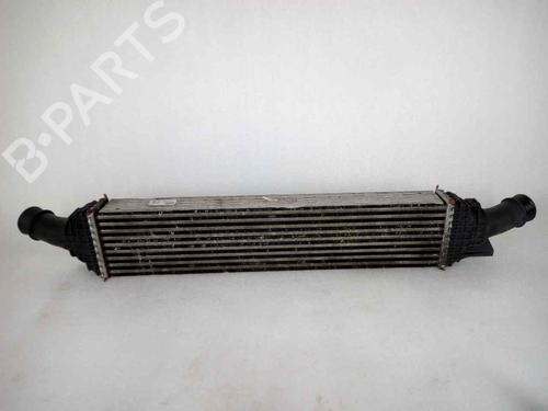 Used Intercooler AUDI Q5 (8RB) 2.0 TDI quattro (170 hp) 10933296