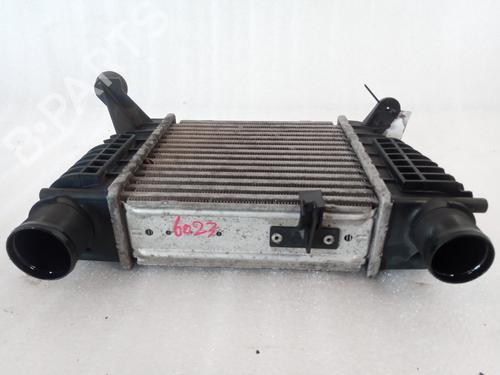 Intercooler NISSAN NV200 / EVALIA Bus 1.5 dCi 90 (M20, M20M) | BP12338246M30 