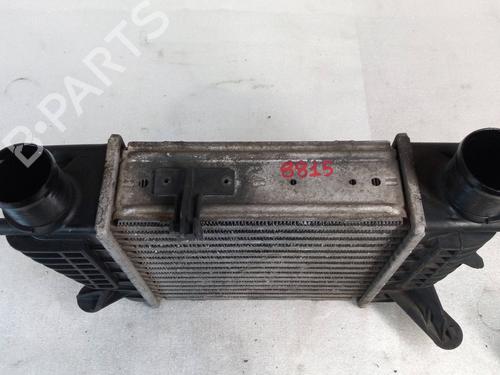 Intercooler RENAULT CLIO III (BR0/1, CR0/1) 1.5 dCi (BR17, CR17) | BP24642480M30