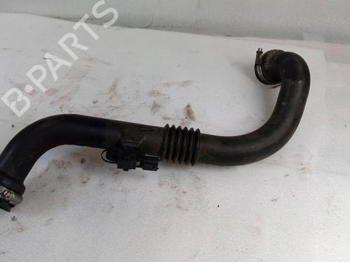 Pipe RENAULT MEGANE II Saloon (LM0/1_) 1.9 dCi (LM0G, LM1G, LM2C) | BP24140444M125 