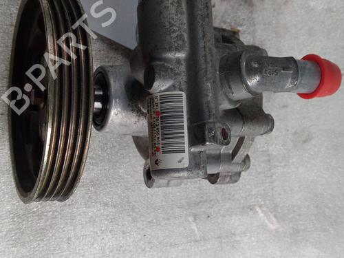 Steering pump DACIA SANDERO | BP16367376M99