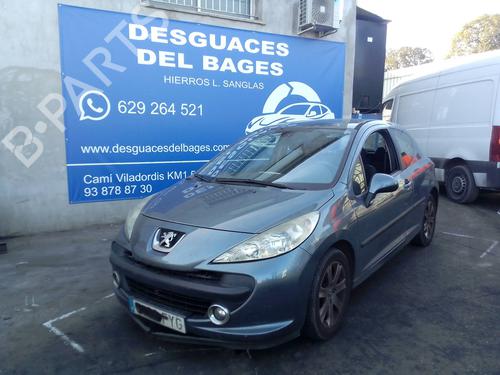 Catalyst PEUGEOT 207 (WA_, WC_)  | BP28129900M10 