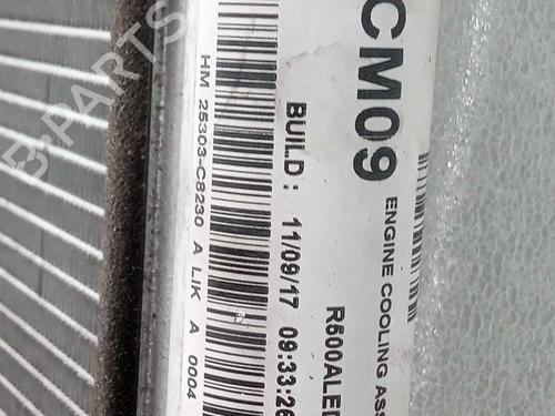 AC radiator HYUNDAI i20 I (PB, PBT)  | BP11844378M32 