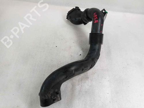 Pipe DACIA DUSTER (HS_)  | BP30557320M125 