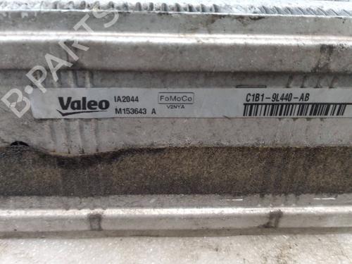 Water radiator FORD FIESTA VI (CB1, CCN)  | BP24293070M31