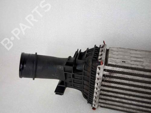 Intercooler AUDI Q5 (8RB) 2.0 TDI quattro | BP10933296M30 