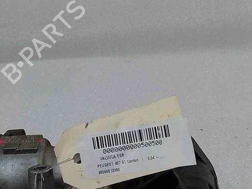 Used Egr PEUGEOT 407 (6D_) 2.0 (6DRFNB, 6DRFNE) (136 hp) 15355426