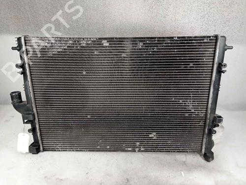 Used Water radiator DACIA SANDERO [2008-2025]  17547085