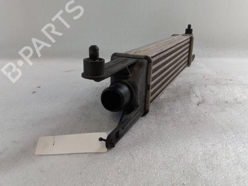 Intercooler RENAULT KANGOO / GRAND KANGOO II (KW0/1_) 1.5 dCi 90 (KW05, KW08, KW0G, KW11) | BP28143054M30 