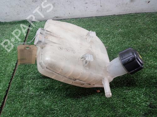 Used Expansion tank RENAULT TWINGO II (CN0_) 1.2 16V (CN0K, CN0V, CN0A) (76 hp) 9671484