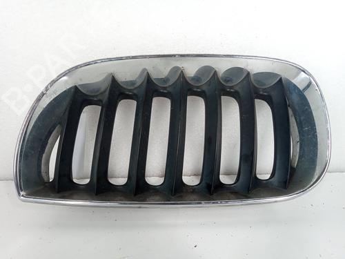 Used Grille BMW X3 (E83) 2.0 d (150 hp) 14167360