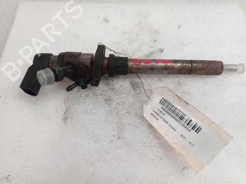 Used Injector CITROËN C4 Grand Picasso I (UA_) 2.0 HDi 138 (136 hp) 26017249