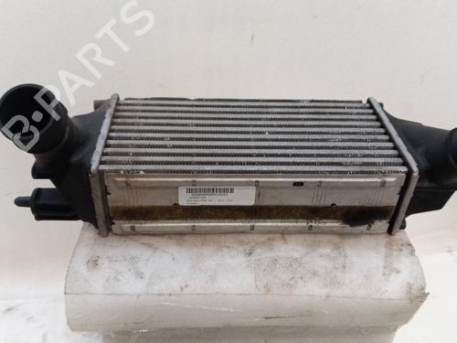 Used Water radiator FORD FIESTA VI (CB1, CCN) [2008-2025]  24293070