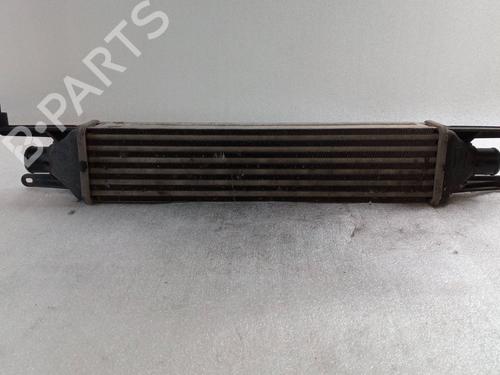 Used Intercooler RENAULT KANGOO / GRAND KANGOO II (KW0/1_) 1.5 dCi 90 (KW05, KW08, KW0G, KW11) (90 hp) 28143054