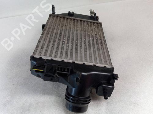 Intercooler RENAULT MEGANE IV Hatchback (B9A/M/N_)  | BP25868374M30 