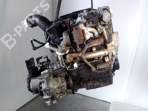 Engine SEAT IBIZA IV (6J5, 6P1)  | BP10679839M1  - Image 5