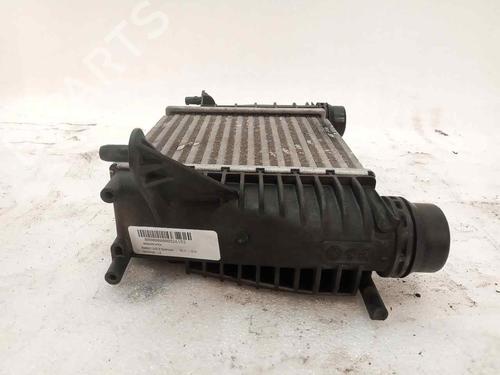 Water radiator RENAULT CLIO III (BR0/1, CR0/1)  | BP24243604M31 