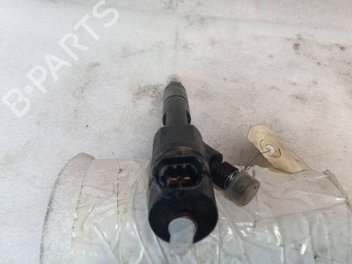 Injector RENAULT SCÉNIC III (JZ0/1_)  | BP21842851M100 