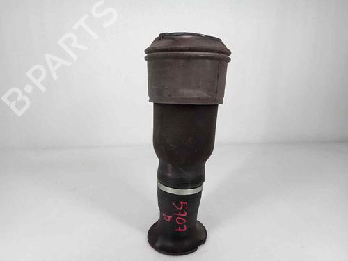 Right rear shock absorber CITROËN C4 Grand Picasso I (UA_) 1.6 HDi | BP11697674M19