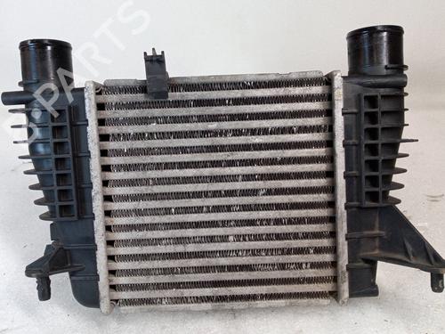 Used Intercooler RENAULT CLIO III (BR0/1, CR0/1) 1.5 dCi (BR17, CR17) (86 hp) 24642480