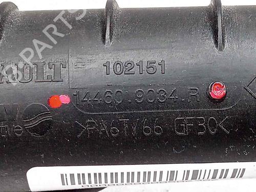 Pipe RENAULT CLIO IV (BH_)  | BP16299959M125